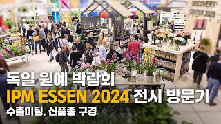 세계 최고의 원예 박람회 방문｜독일 IPM ESSEN 2024 신품종, 수출미팅｜유럽에서 배추김치 담그기