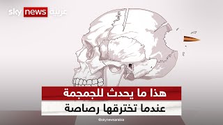 هذا ما يحدث للجمجمة عندما تخترقها رصاصة | #وثائقيات_خاصة