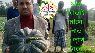 মিষ্টি কুমড়ায় তিনগুন লাভ/Three times higher profit in Sweetgourtd#profitable_crop#hybridsweet_gourd