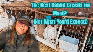The BEST Rabbit Breeds For Meat? (Not What You'd Expect!)