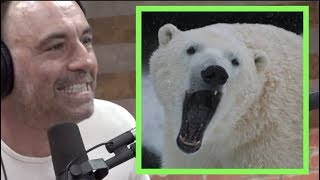 Joe Rogan - Polar Bears are RUTHLESS
