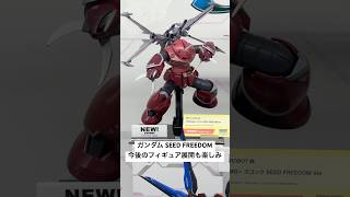 【ガンダム展示】ガンダム SEED FREEDOM 今後のフィギュア展開が楽しみ！特にズゴック！マイティーフリーダムも#gundam #metalrobot魂 #魂ネイション2024 #shorts