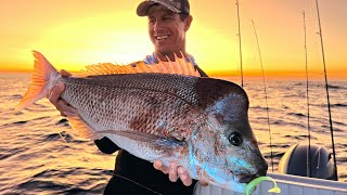 LOCAL REEF DID NOT DISAPPOINT (Snapper one after the other)