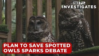 Controversial plan to save spotted owls sparks debate