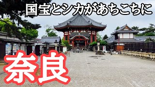 【奈良観光】猿沢池、興福寺、奈良ホテル、元興寺、十輪院