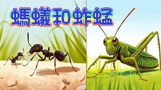 【小羽的童話樂園】螞蟻和蚱蜢︱未雨綢繆、勤奮