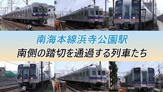 南海本線浜寺公園駅南側の踏切を通過する列車たち