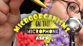 ASMR Microorganisms On The Mic | Crinkly, Crunchy Study \u0026 Removal