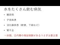 【うさぎがたくさん水を飲むと！ 】うさぎの水の秘密 49　うさぎの病気 vol.18