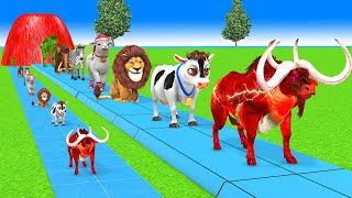 Paint \u0026 Animals Cow,Gorilla,Elephant,Dog,Tiger,Lion,Chicken Fountain Crossing Transformation Cartoon