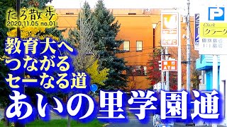 (01) 教育大へのセイ(ｺｰﾏｰﾄ)なる道・あいの里学園通