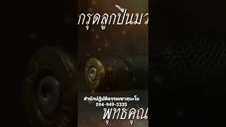 ตะกรุดโทนสำนักปฏิบัติธรรมเข้าสุนะโมพระอาจารย์ตี๋เล็กปัญญาสาโรตุลาคม ค.ศ. 2022