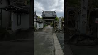 お墓参り | Visiting a Grave #shorts