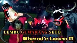 LEMBU GUMARANG SETO || LOOSSS MBERROT!!