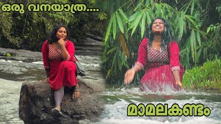 മഴയത്ത് കാട്ടിലൂടെ ഒരു യാത്ര.....| മാമലകണ്ടം | @Ashlykunji | #travel #travelvlog #mamalakandam