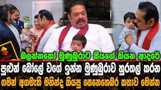 පුළුන් බෝලේ වගේ ඉන්න මුණුබුරාව හුරතල් කරන ගමන් අගමැති මහින්ද කියපු සෙනෙහෙබර කතාව.Mahinda Rajapaksa