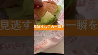 ハンバーガー屋ではないハンバーガーを一瞬だけ見せるから見逃さないように気をつけて！　#shorts #ハンバーガー #ケンタッキー