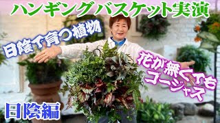 【ハンギングバスケット⑤実践編】リーフだけでゴージャスに作る日陰の植物選びとハンギングバスケットの植え方【花の谷の吉村雅代】