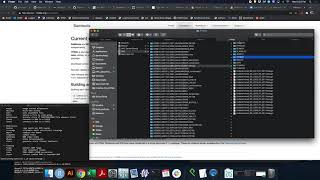 Samtools Mpileup Tutorial