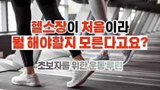 헬스장이 처음이라면 이렇게 한번 해보세요! 헬스 초보자를 위한 운동 루틴