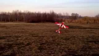 Dunkan Bossion with Extra 3D flight