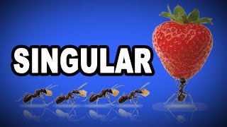 Learn English Words: SINGULAR - Meaning, Vocabulary with Pictures and Examples