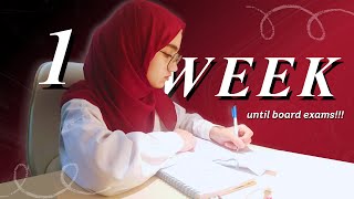 How to STUDY: 1 WEEK before IGCSE/ A Level exams and SCORE A* 📈✍️ - AL Biology exam vlog 🧬🌱