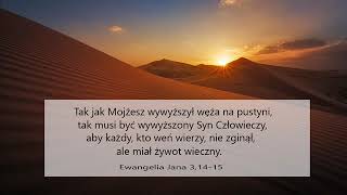 zgr 01 01 2019r Marian - Prawda dająca wolność do życia w Bogu