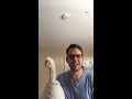 goose attacks man on live tv