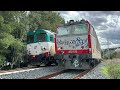 ultimi treni intercity effettuati con locomotive d445 sulla linea jonica