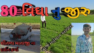 80 વીઘા નુ જીરુ #80bighanujiru#farmer