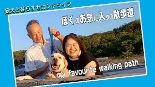 ようこそ！僕のお気に入りの散歩道を案内するよ！(my favorite walking path）