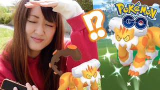 ランドロス高個体狙い!! とある色違いに遭遇しました【ポケモンGO】