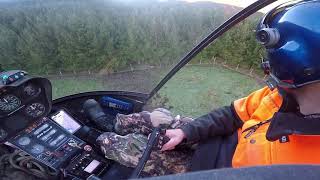 Helicopter Deer Recovery New Zealand