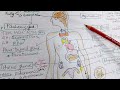 The Endocrine System/ Anatomy & Physiology/ Lecture by Dr. Helen Mariadoss