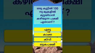 😱ഒരു കൂട്ടിൽ 100+ മുട്ട ഇടുന്ന പക്ഷി?? #trending #malayalam #gk #quiz #shortvideo #generalknowledge