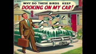 Why Do These Birds Keep Dooking On My Car (Vintage 50's Doo Wop Vinyl)