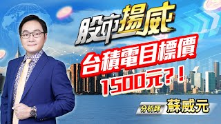 中視【股市揚威】20240607 #蘇威元：台積電目標價1500元？！ #中視 #中視新聞 #蘇威元 #股市揚威 #摩爾證券投資顧問