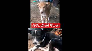 ஃபேமிலி மேன் # Puppy # Short