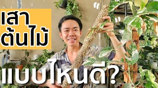 แนะนำเสาต้นไม้ชนิดต่างๆ  | Uncle Bank