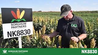 Sorghum Partners ® Product Profile- NK8830