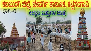 Katti Sanghavi Cattle Fair 2025 | Khillar Breed Bull's sale's in this Cattle Fair