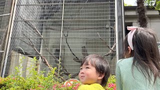 【2歳】天王寺動物園に行ってきた！