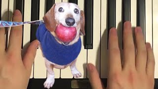 How To Play - Apple Dog Ai Meme Song (Piano Tutorial Lesson)