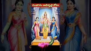 #ధనం ప్రాప్తి, #సంతానం అభివృద్ధి కోసం #SUBRAHMANYASWAMY WhatsApp Status Telugu #dhruthisree#Chaganti