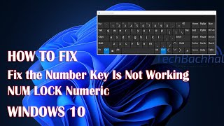 Num Lock Or Number keys Are Not Working On Windows 11 - 3 Fix How To