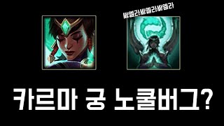 카르마 만트라 버그