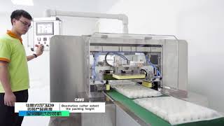 CB-680ws Full servo box motion type flow packing machine