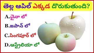 General knowledge in Telugu ||Interesting Questions in Telugu|| Facts || SR GK Telugu