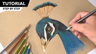 Drawing Peacock Bird using Metallic Color Pencil